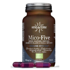 MICO-FIVE Bio-Extrakt aus 5 Vitalpilzen