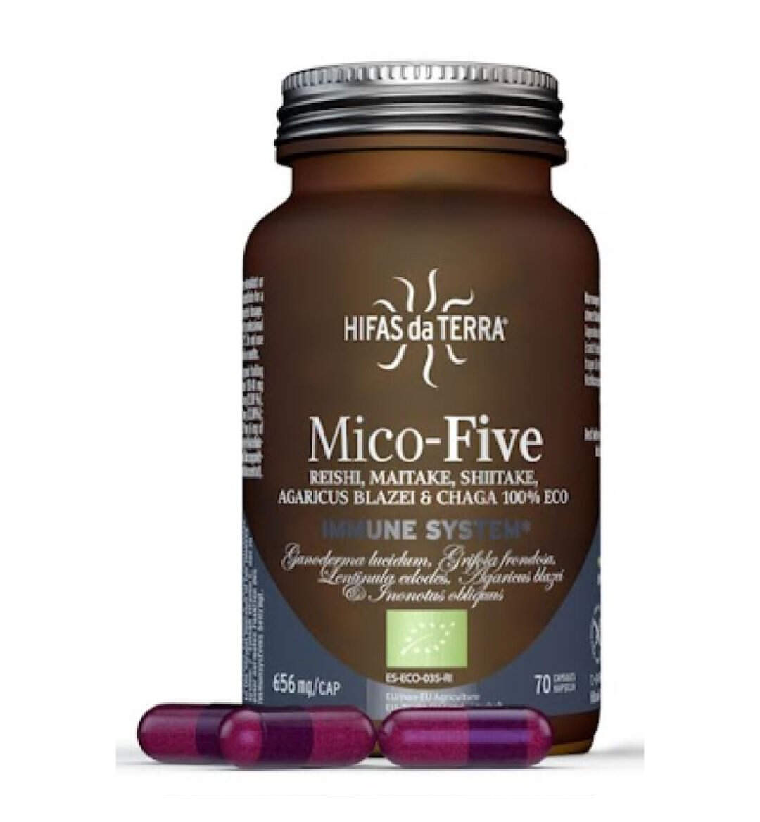 MICO-FIVE Bio-Extrakt aus 5 Vitalpilzen