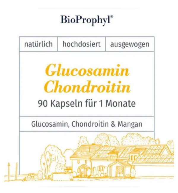 Glucosamin Chondroitin Mangan Arthrose Gelenke Knorpel